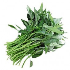 KANGKUNG / WATER SPINACH / 水菠菜